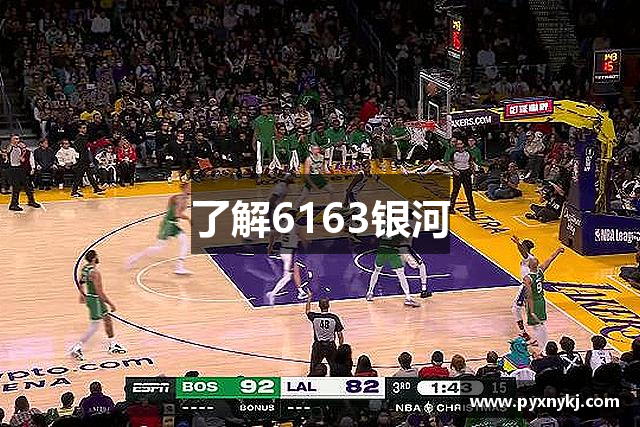 了解6163银河